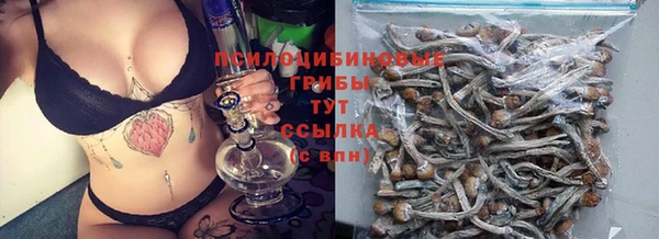 PSILOCYBIN Балабаново