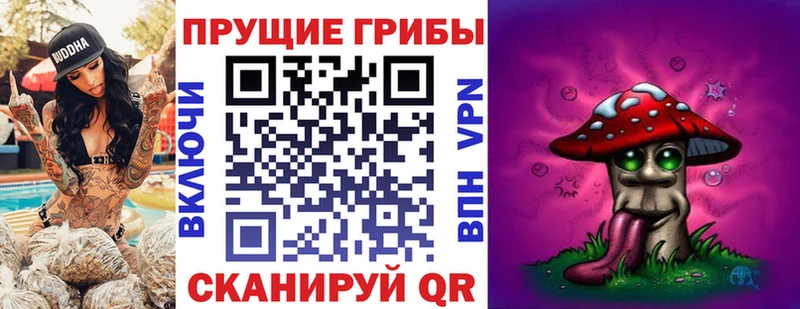 как найти закладки  Устюжна  Псилоцибиновые грибы Psilocybine cubensis 